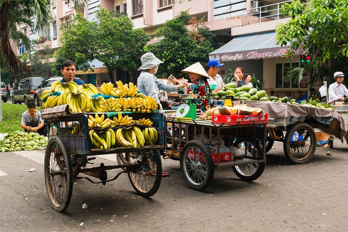 Những xe hàng trái cây bên đường, người bán và người mua trò chuyện